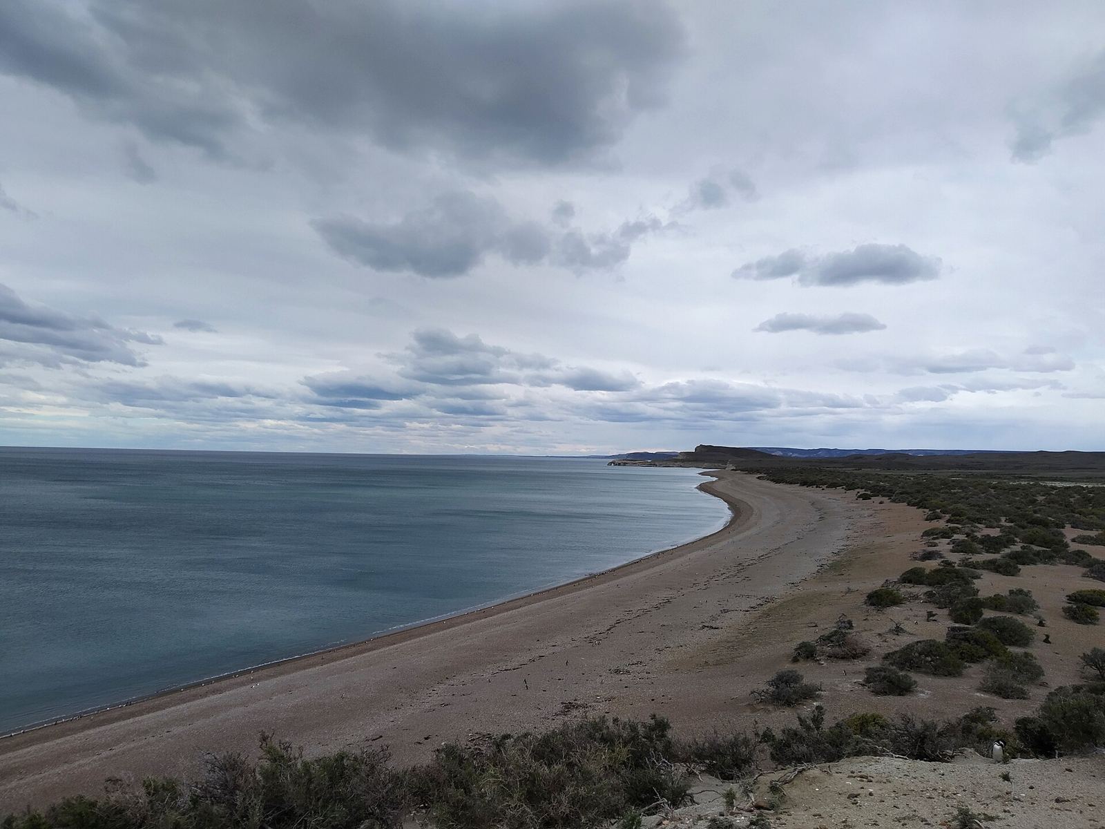 Costa y estepa patagónica del Parque Nacional Monte León, Santa Cruz